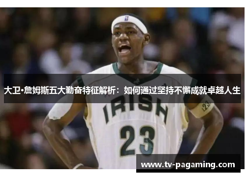 大卫·詹姆斯五大勤奋特征解析：如何通过坚持不懈成就卓越人生