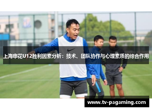 上海申花U12胜利因素分析：技术、团队协作与心理素质的综合作用
