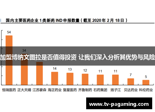 加盟博纳文图拉是否值得投资 让我们深入分析其优势与风险