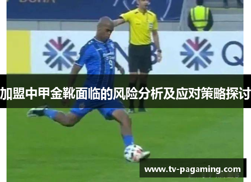 加盟中甲金靴面临的风险分析及应对策略探讨