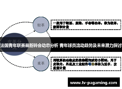 法国青年联赛最新转会动态分析 青年球员流动趋势及未来潜力探讨
