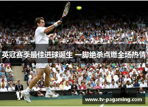 英冠赛季最佳进球诞生 一脚绝杀点燃全场热情