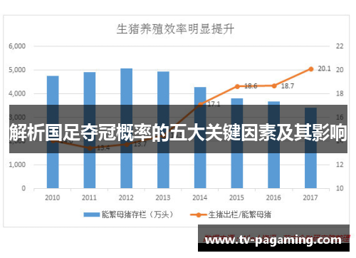 解析国足夺冠概率的五大关键因素及其影响